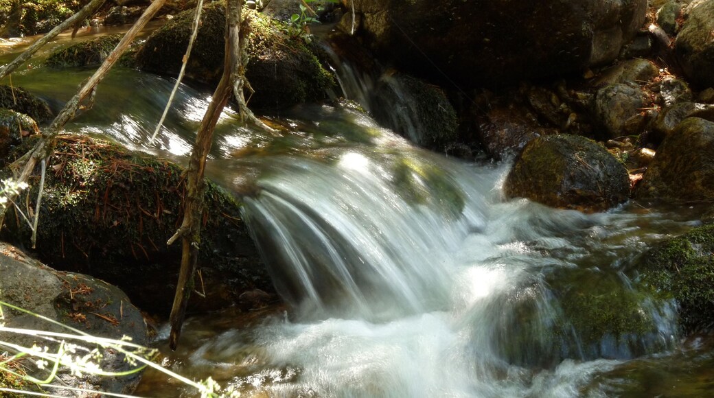 Arroyo de las Corzas