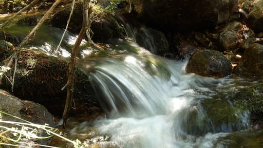 Arroyo de las Corzas