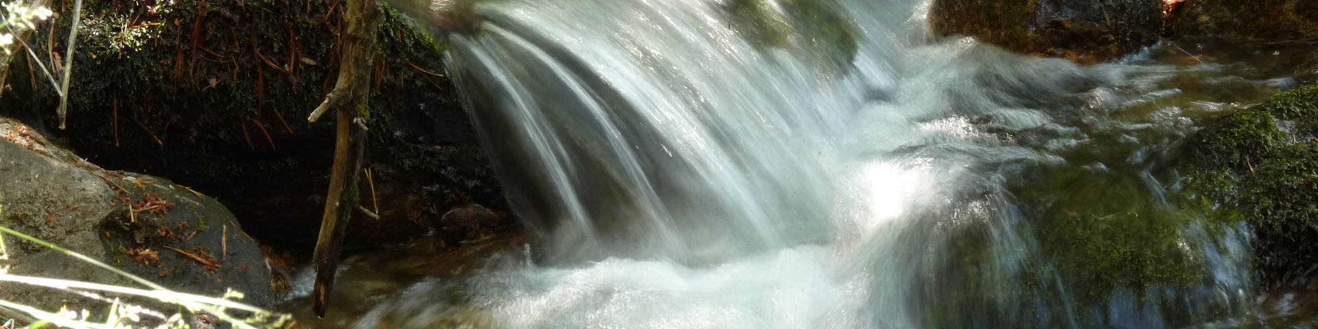 Arroyo de las Corzas