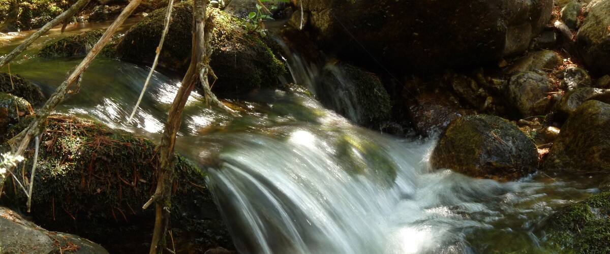 A flowing stream with rocks and moss.