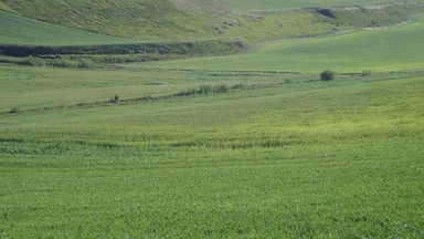 Dolci colline verdi e una valle.