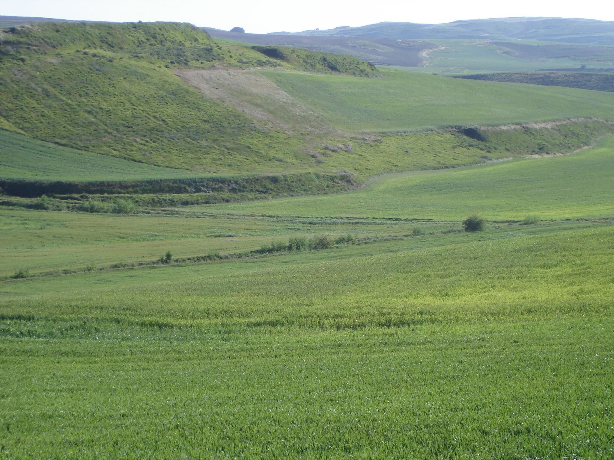 Rolling green hills and a valley.