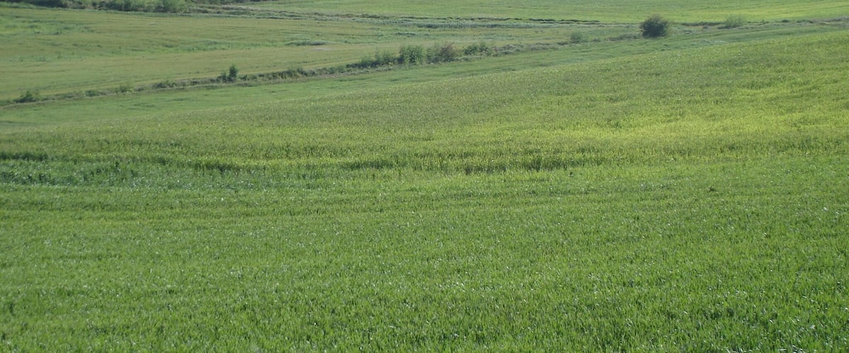Rolling green hills and a valley.