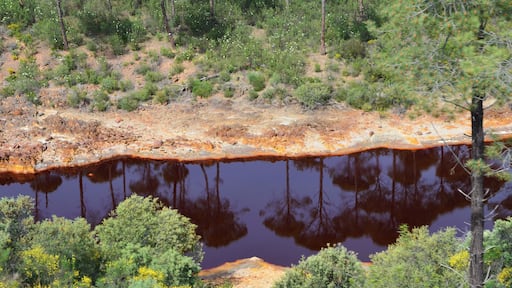 The RĂo Tinto (« red river »), spanish river of Andalusia (Spain) photographied from the touristic train of the Parque Minero de Riotinto, between Nerva and Berrocal (province of Huelva).