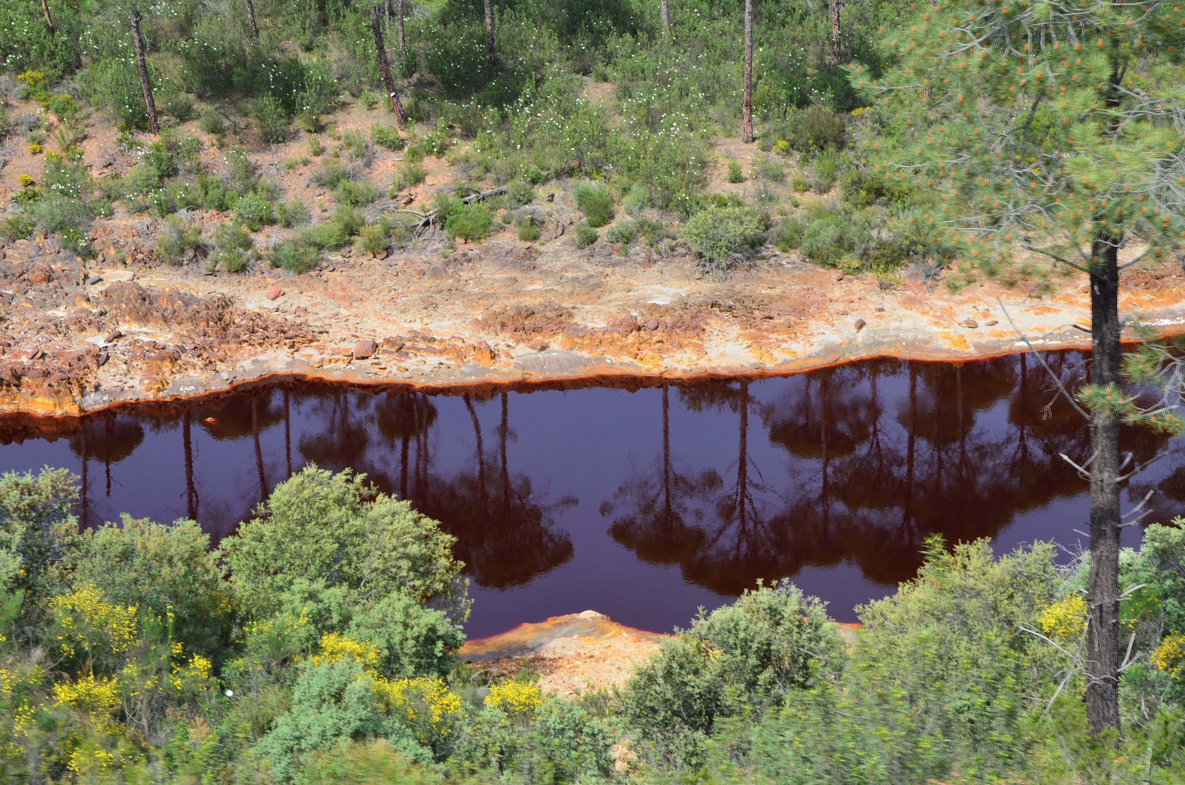 A lake with a reddish-brown edge, surrounded by green vegetation and trees.