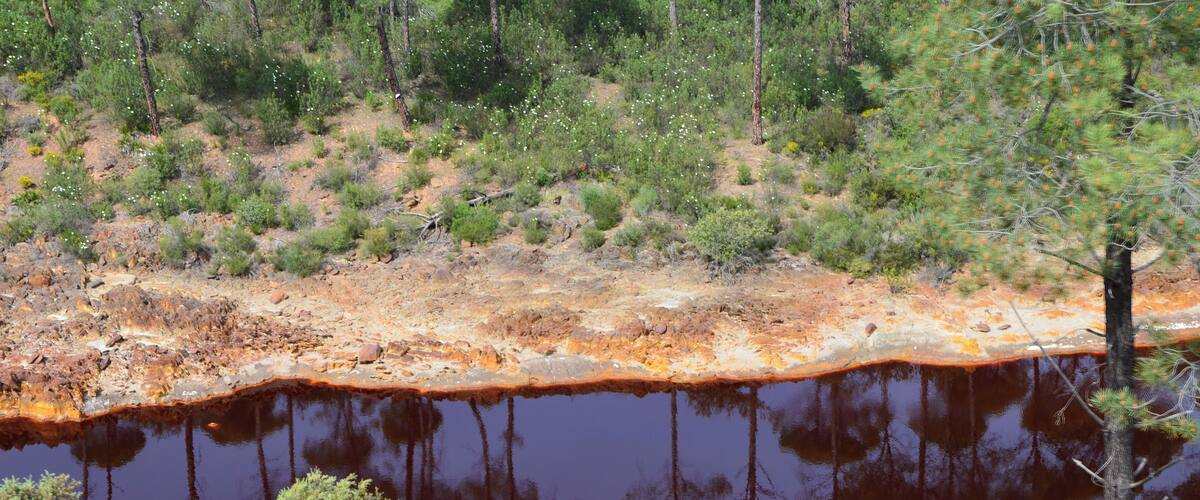 A lake with a reddish-brown edge, surrounded by green vegetation and trees.
