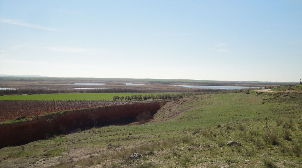 Laguna de Altaray. Laguna de Altaray (nombre árabe), de Quero (Toledo, España). Modernamente unos la llaman Laguna de El Taray (árbol, muy típico en la Mancha), otros Laguna de Taray. Altaray= el Taray.