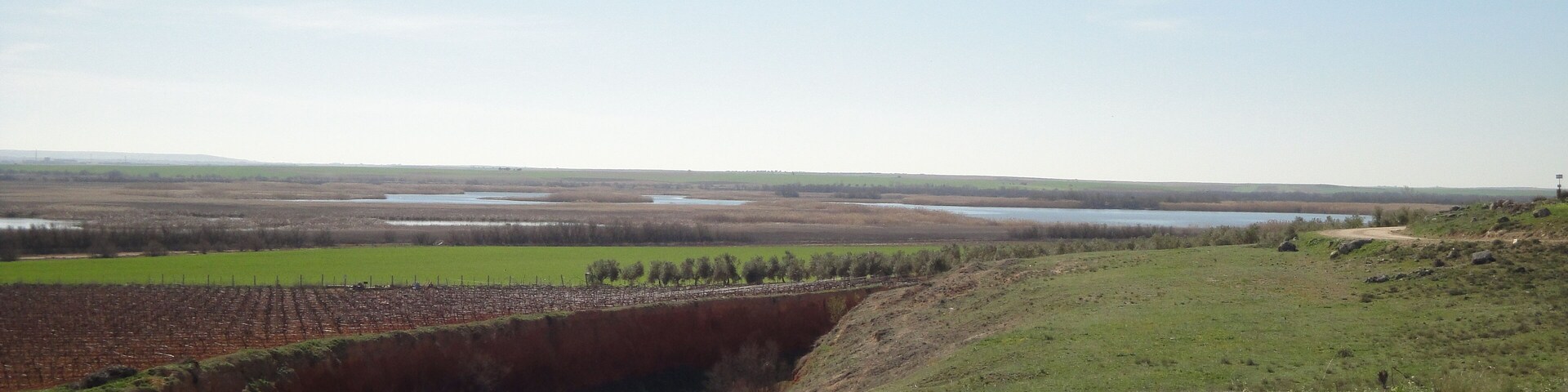Laguna de Altaray. Laguna de Altaray (nombre árabe), de Quero (Toledo, España). Modernamente unos la llaman Laguna de El Taray (árbol, muy típico en la Mancha), otros Laguna de Taray. Altaray= el Taray.