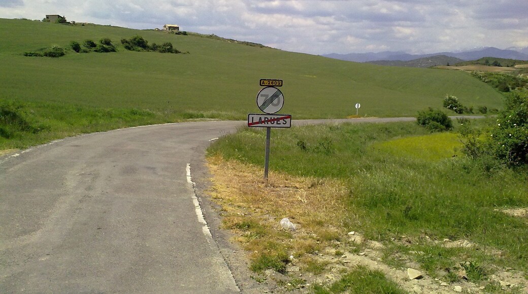 Larués le 23 mai 2010.