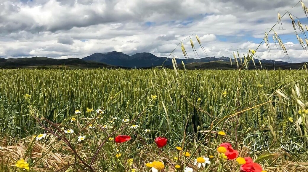 The Beautiful Camino
A iphoneable Photo