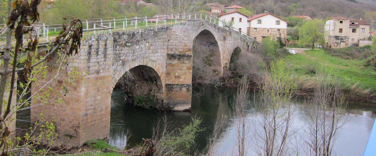 A stone bridge over a river with houses in the background.