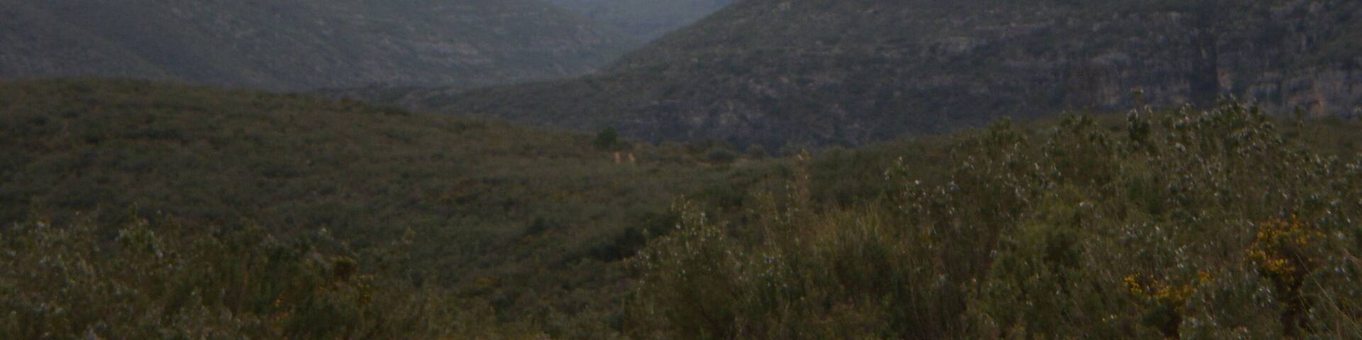 Millares, 46198, Valencia, Spain