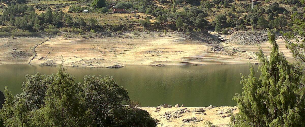 A river with a rocky shoreline and sparse vegetation.