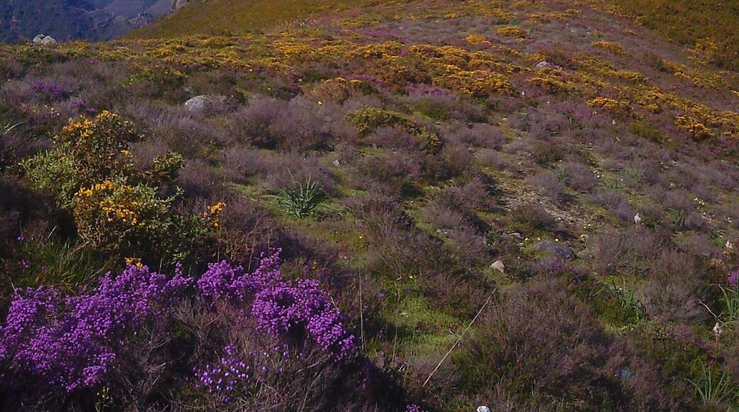 Peñasco en la frontera entre Lugo y Asturias