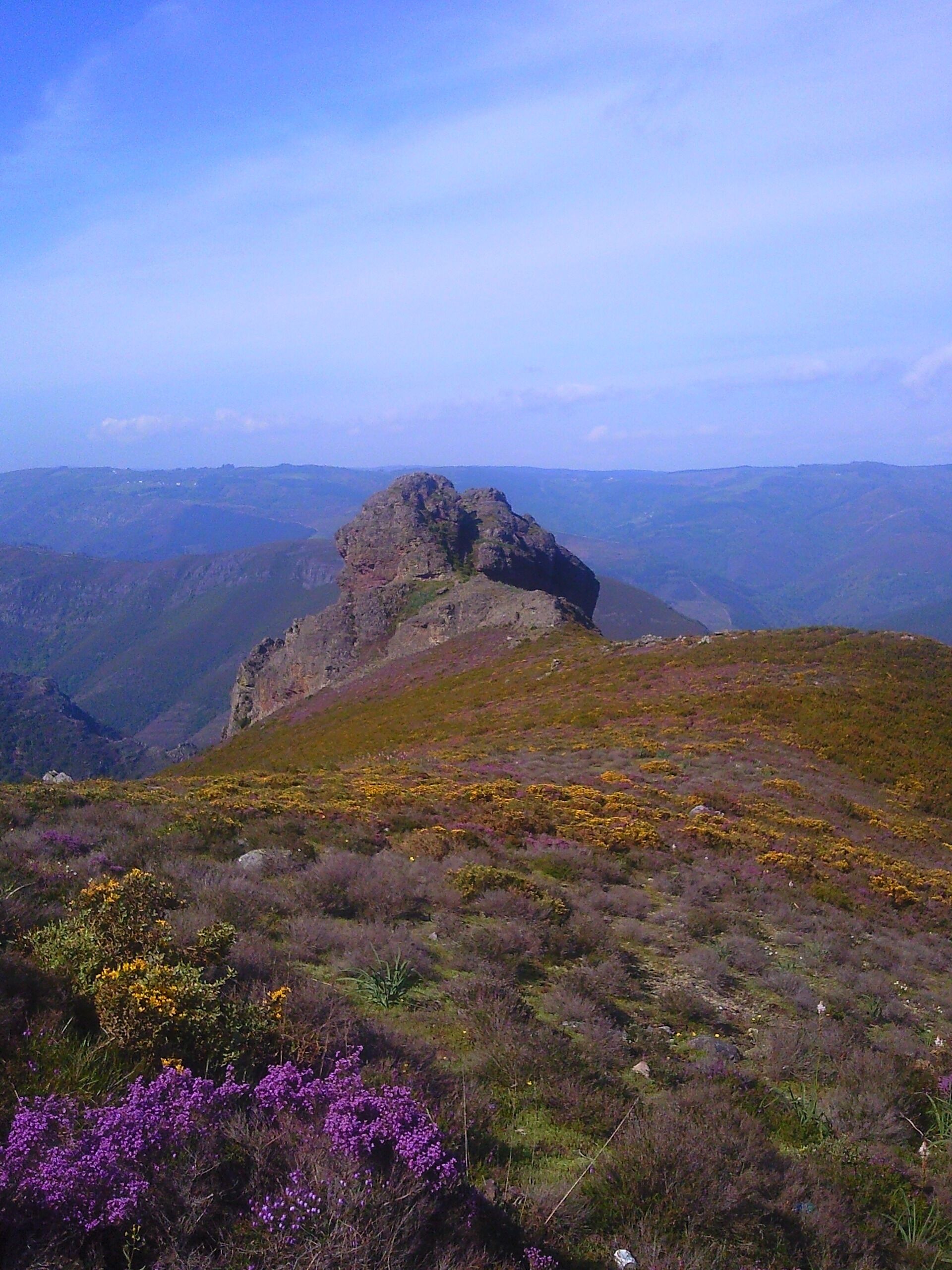 A rugged mountain peak with purple heather and yellow flowers in the foreground, and a vast valley in the background.