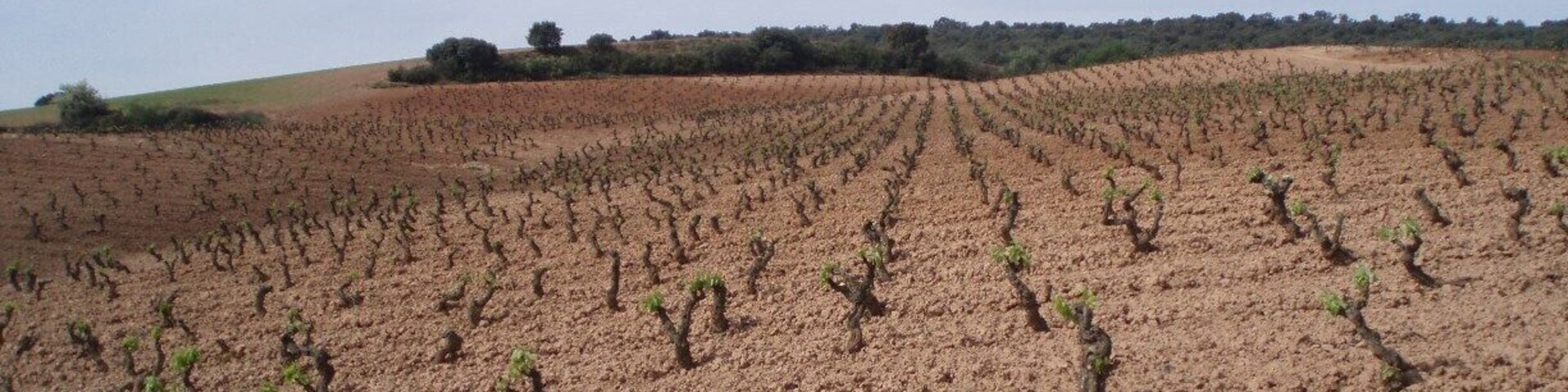 The area where thay make great wines.