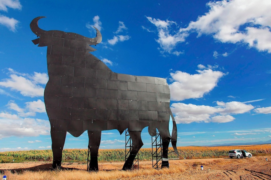 Spend any time driving around Spain and you're likely to encounter a bullboard.  These giant 46ft tall (14m) bulls have a lively history.  The first ones went up in the 1950s as a marketing campaign for the Osborne sherry company (est 1772).  At that time they were only 23ft tall (7m) tall and had a red brand emblazoned on them.  A decade later the regulations changed, forcing the signs further from freeway.  To compensate, Osborne doubled their height.
That worked for quite a while, but by the 1990s there was a government backlash against ugly billboards along the highways.  The Toros started to come down, only to be saved by an outpouring of public support for the now iconic signs.  President Felipe Gonzalez relented and allowed the signs to remain, under the condition that the branding be removed.  
By this time the Osborne brand was firmly associated with the bulls, so the branding on the bulls was largely superfluous.  Think of the bulls like the Golden Arches - there's just no need to say anything more. 
Some 90 or so bullboards still dot the Spanish landscape.  This one near Salamanca is relatively easy to visit, as it stands next to a cell tower with an easy-to-access service road.  For a map of the sign locations, check out this site: http://bit.ly/1AtG0oB