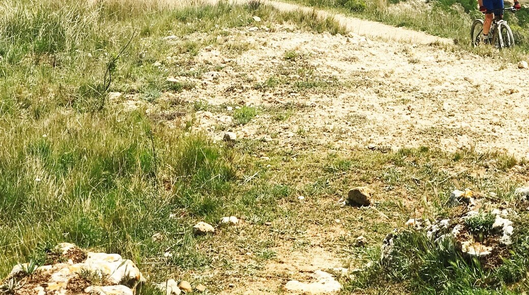 Trekking The Meseta Spain
@ iphoneablephoto