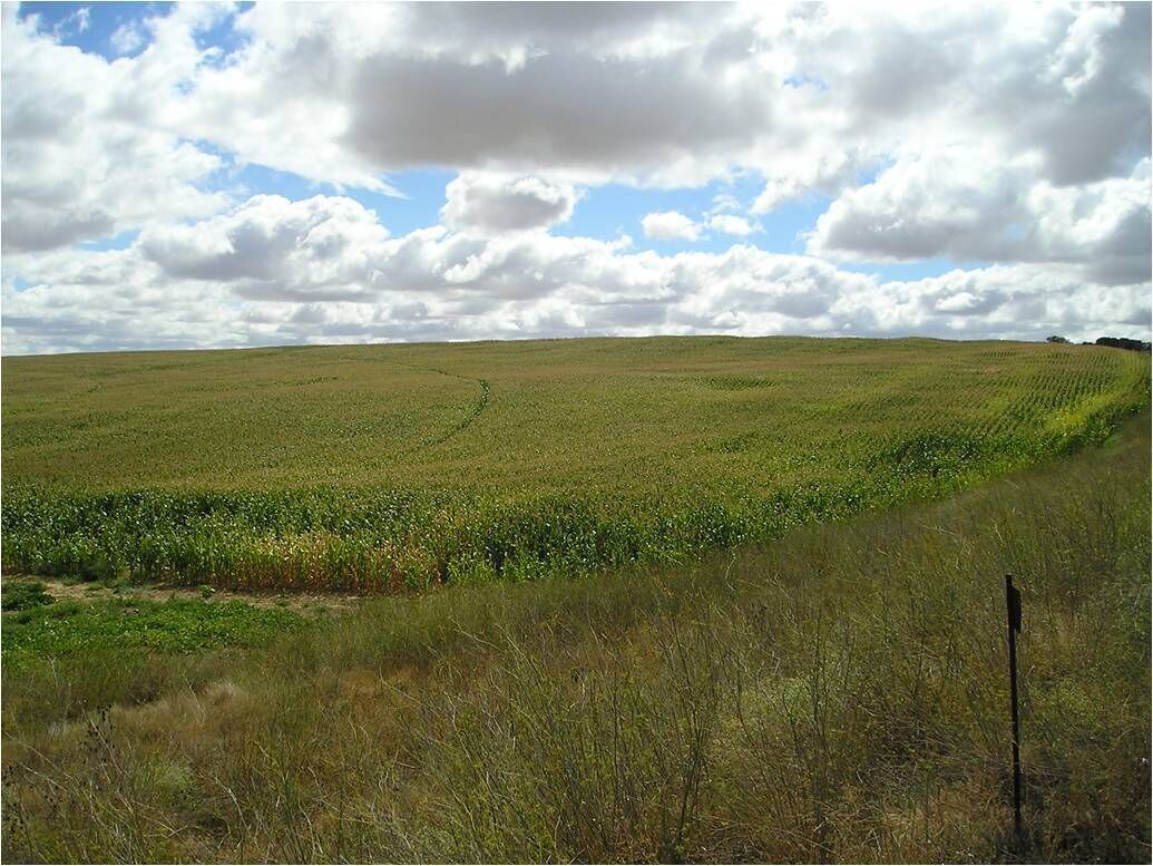 Zona de paso de la nueva autovía y camino de servicio