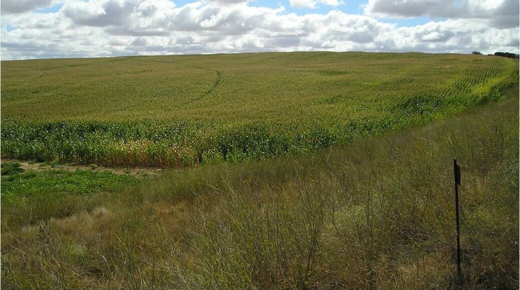 Zona de paso de la nueva autovía y camino de servicio