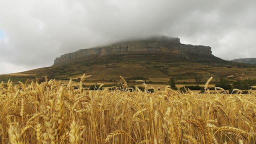 Desde la carretera BU-623 entre Villamartín de Villadiego y el pueblo de Amaya, casi llegando ya al segundo.