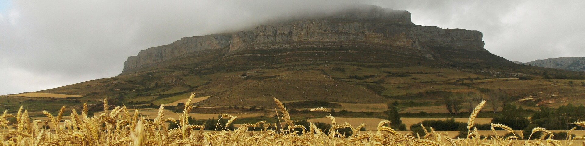 A wheat field in front of a rocky mountain with clouds above.