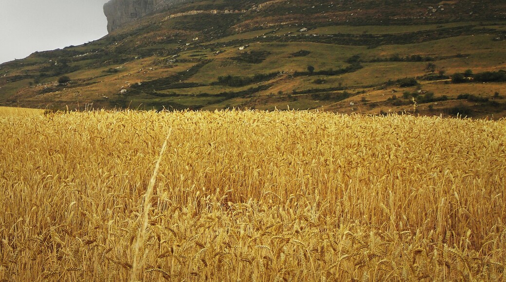 Desde la carretera BU-623 entre Villamartín de Villadiego y el pueblo de Amaya, casi llegando ya al segundo. Amaya era una antigua ciudad cántabra sobre el macizo que lleva su nombre, hoy al norte de la provincia de Burgos. El castro se convirtió en una fortaleza y después en una ciudad visigoda, capital del Ducado de Cantabria. Mi artículo sobre Amaya en Jot Down: <a href="http://www.jotdown.es/2014/08/amaya-una-capital-en-la-nada/" rel="nofollow">www.jotdown.es/2014/08/amaya-una-capital-en-la-nada/</a> Más en Wikipedia: <a href="http://es.wikipedia.org/wiki/Amaya_" rel="nofollow">es.wikipedia.org/wiki/Amaya_</a>(ciudad) En Google Maps: <a href="https://www.google.es/maps/@42.6528973,-4.1544179,3274m/data=!3m1!1e3" rel="nofollow">www.google.es/maps/@42.6528973,-4.1544179,3274m/data=!3m1...</a>