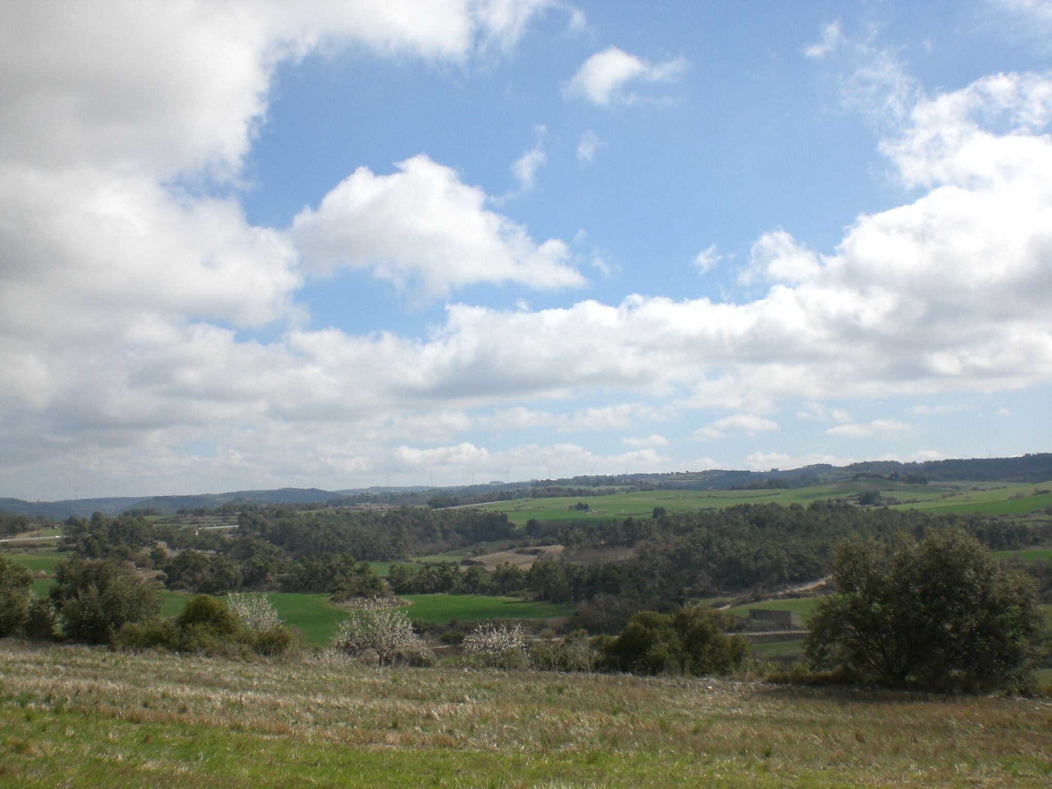 Entorn de l'ermita de Sant Roc (març 2011)
