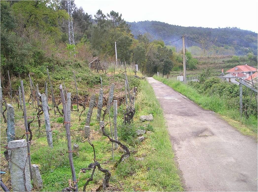 Término municipal de Cortegada. Reposición camino.