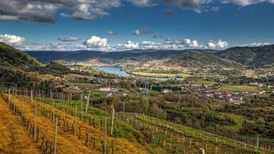 Vineyards in the Ribeira Sacra DO of the northwest Spain wine region of Galicia.