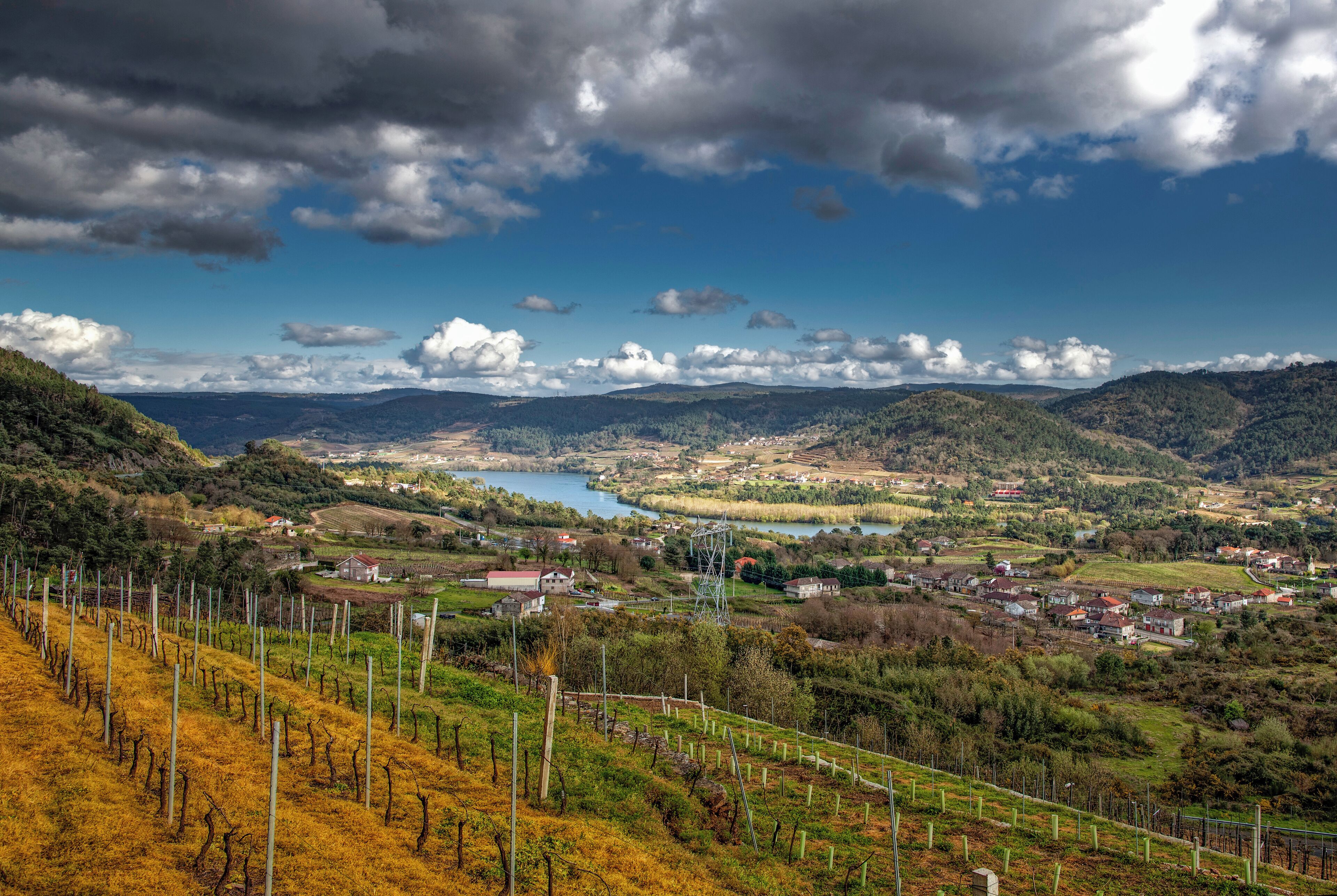 A valley with vineyards, a lake, and scattered houses.