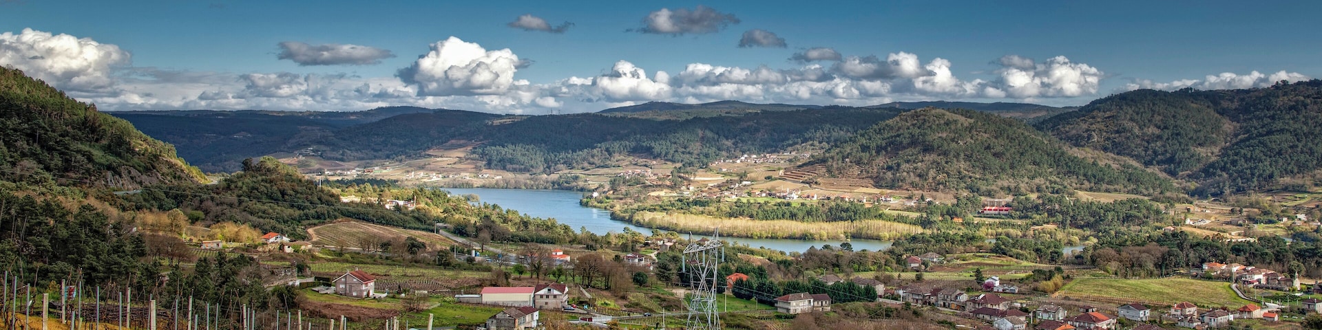 A valley with vineyards, a lake, and scattered houses.