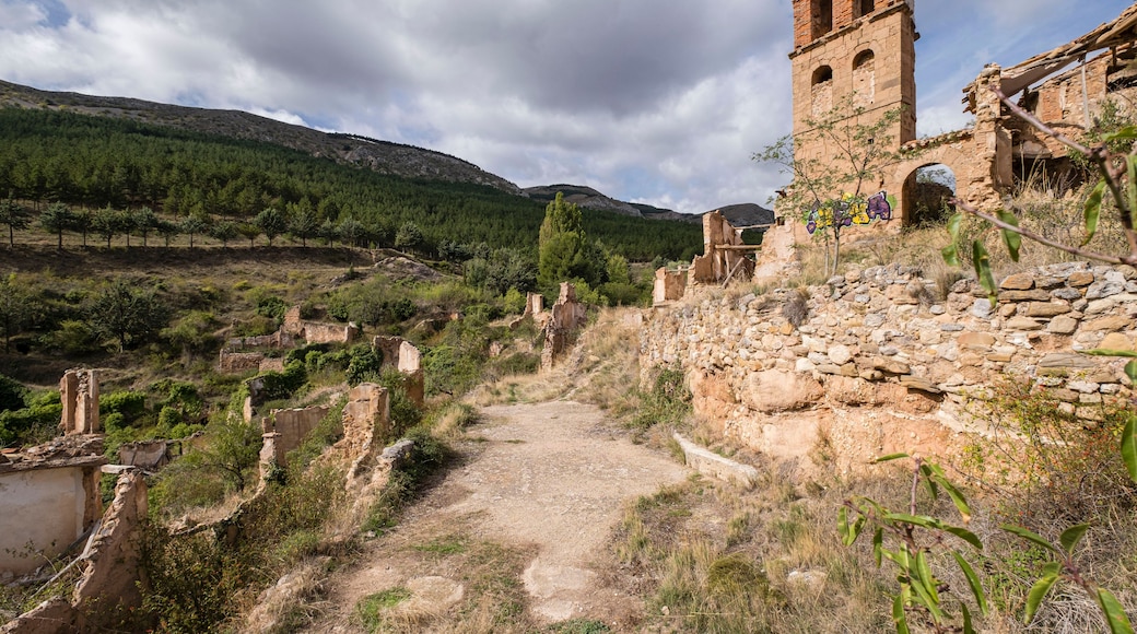 Paisatge rural amb una torre de pedra en ruïnes, un camí de terra i un turó forestal al fons.