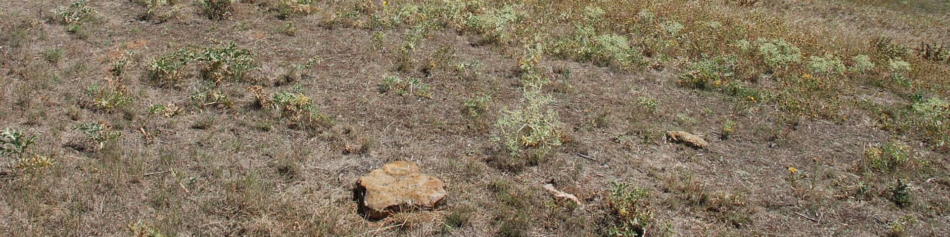 Archaeological excavations at the site of Dessobriga in Osorno la Mayor (province of Palencia, Castile and LeĂłn). East gate to Dessobriga. At the bottom of the Valley, parallel to the river Valdavia elapses the autovĂa de Santiago or A-231, old via Asturica-Tarracone where Dessobriga is mentioned in the itinerary of Antoninus (449, 4) as a mansio among the mansions of LacĂłbriga and Segisamone, which is separate XV miles on both occasions.