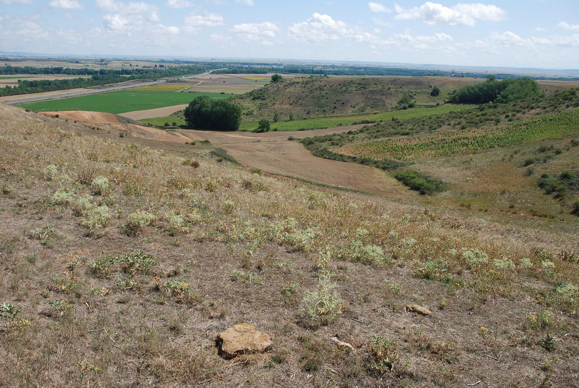 A hilly landscape with fields, a road, and distant buildings.