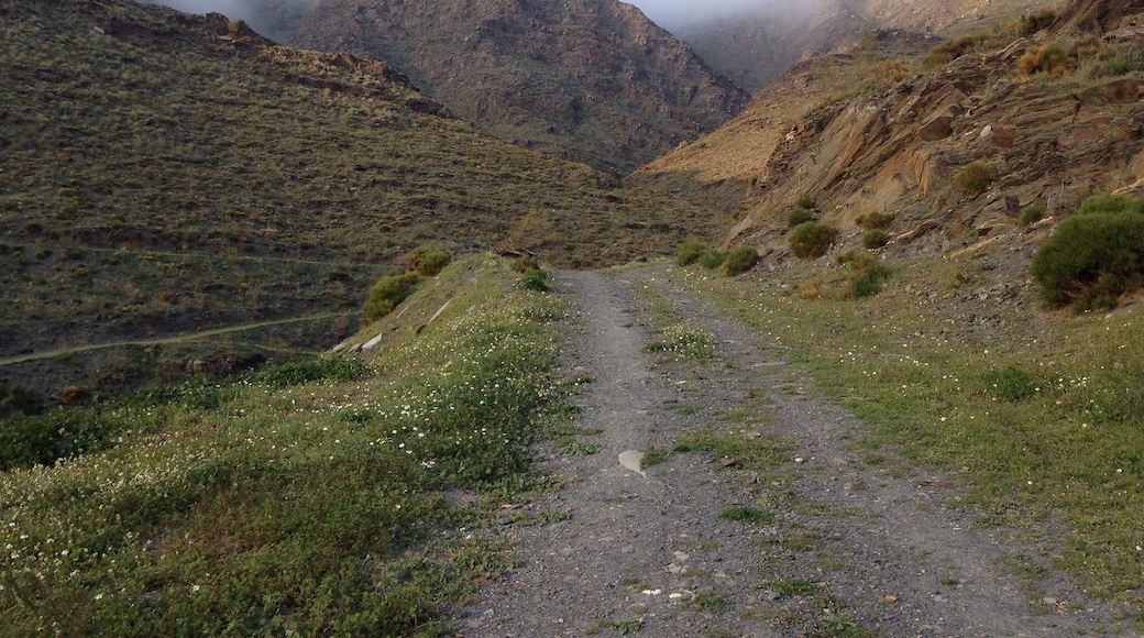 The #Green footpath outside my Grandparents' house is awe-inspiring. Love going on hikes bright and early in the morning!