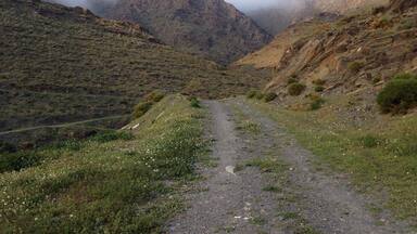 The #Green footpath outside my Grandparents' house is awe-inspiring. Love going on hikes bright and early in the morning!