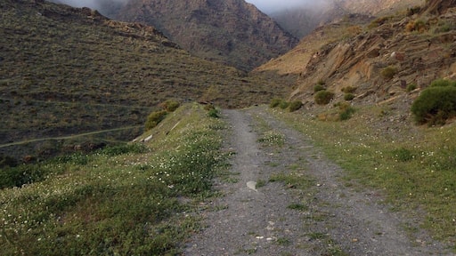 The #Green footpath outside my Grandparents' house is awe-inspiring. Love going on hikes bright and early in the morning!
