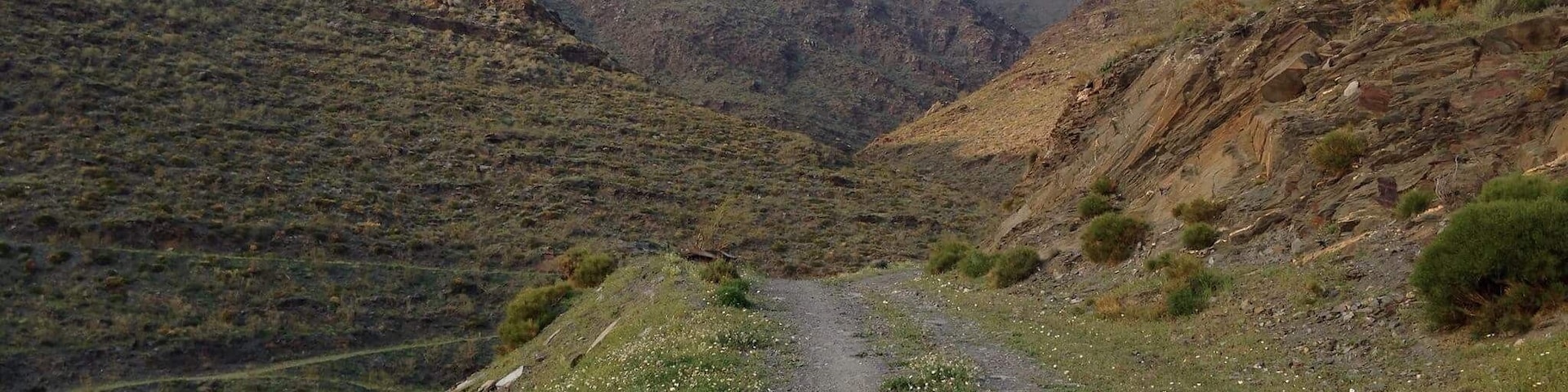 The #Green footpath outside my Grandparents' house is awe-inspiring. Love going on hikes bright and early in the morning!