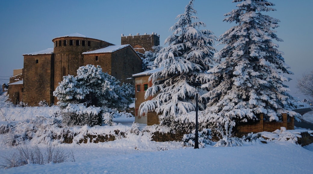A historic stone building with snow-covered trees in the foreground.