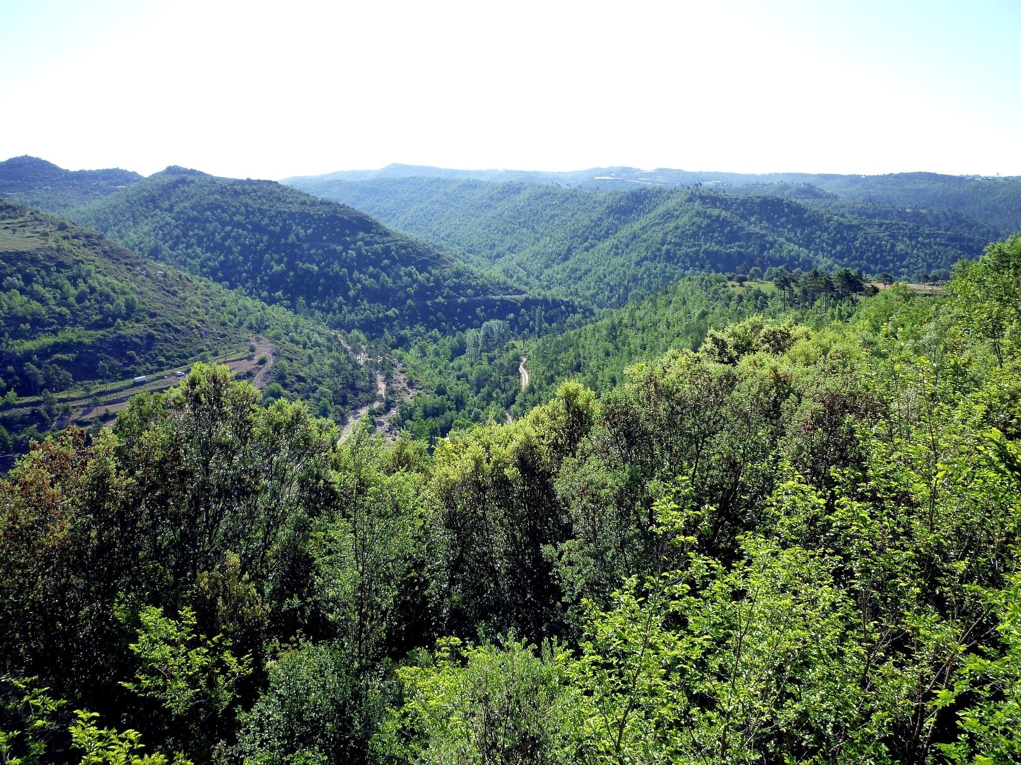 This is a a photo of a natural area in Catalonia, Spain, with id: