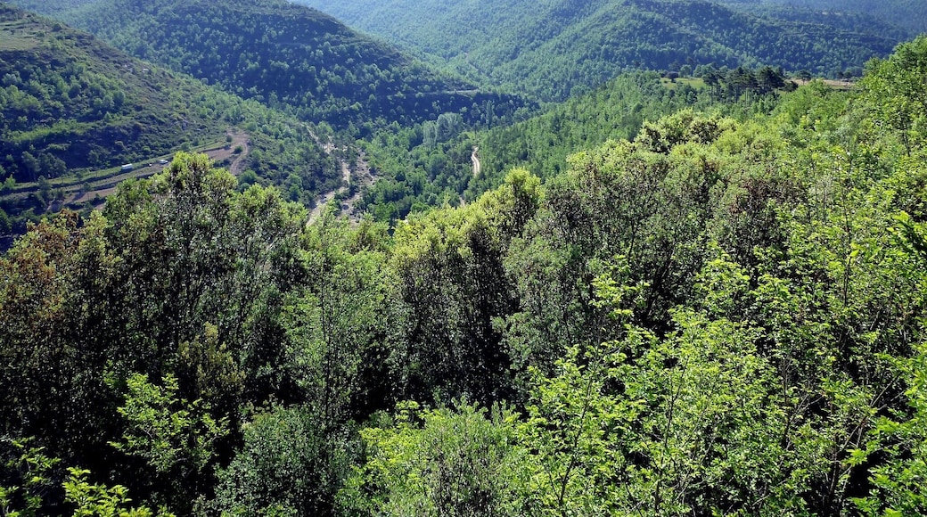 This is a a photo of a natural area in Catalonia, Spain, with id: