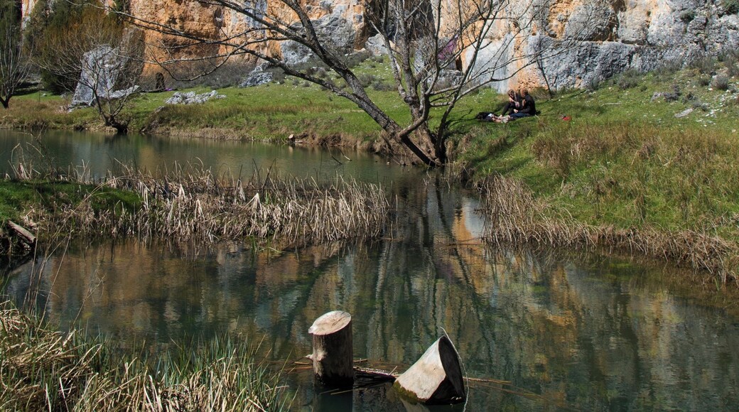 This is a photography of a Special Area of Conservation in Spain with the ID: