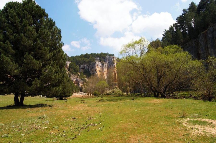 Camino