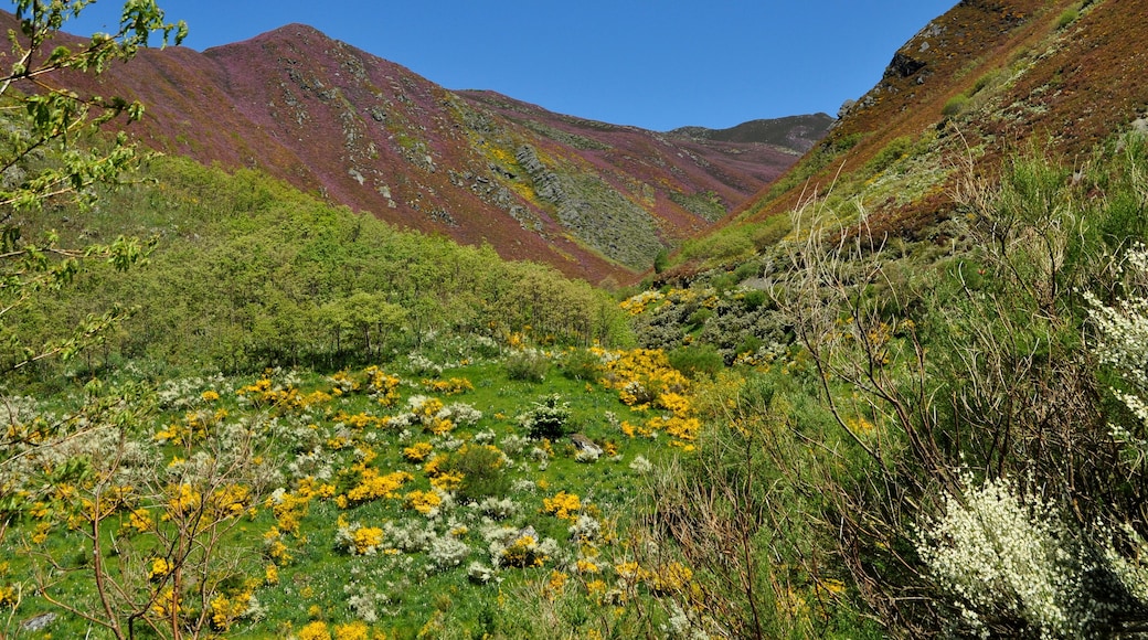 This is a photography of a Site of Community Importance in Spain with the ID:
