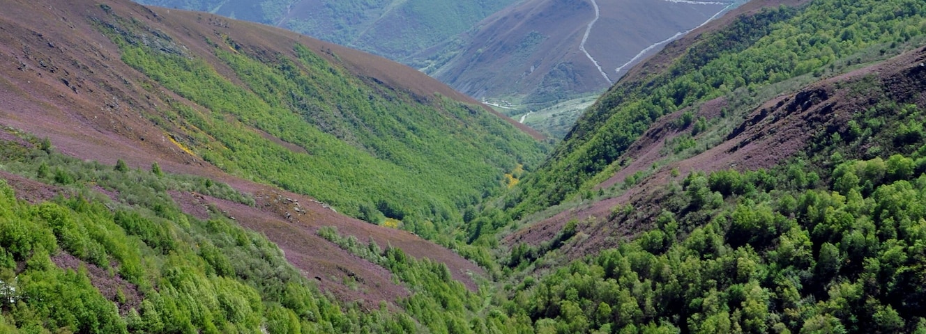 This is a photography of a Site of Community Importance in Spain with the ID: