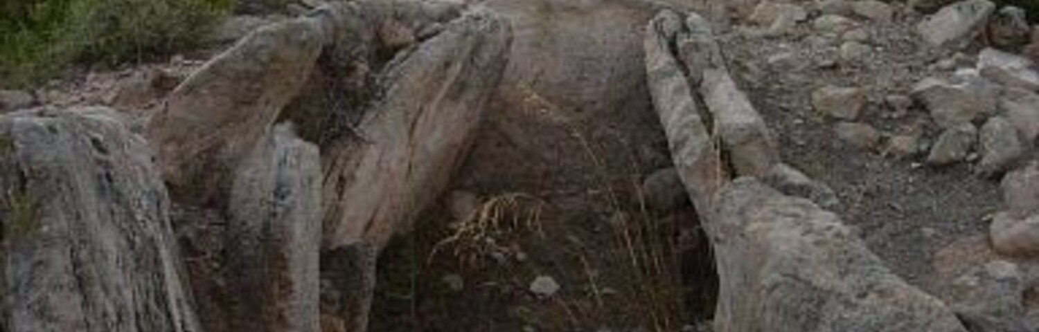 Sepulcre Megalític de les Maioles, Rubió.