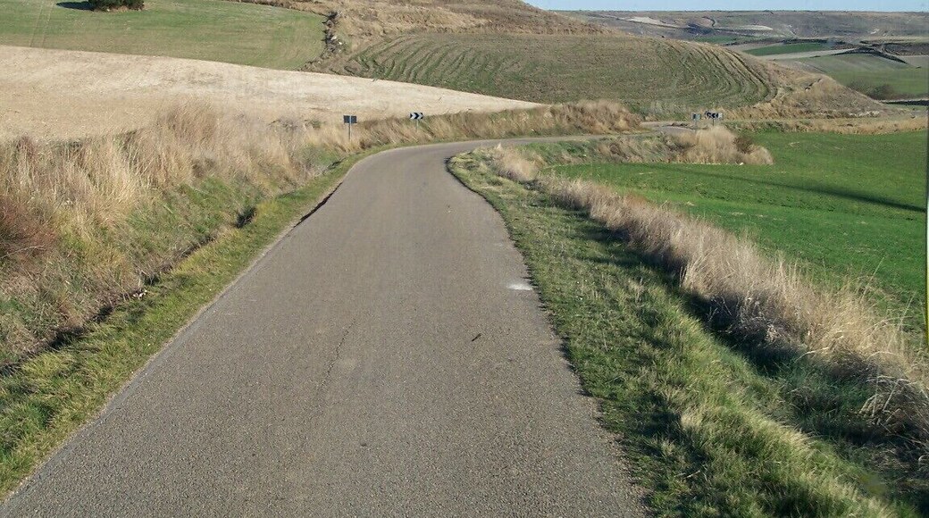 Pedrosa del Príncipe