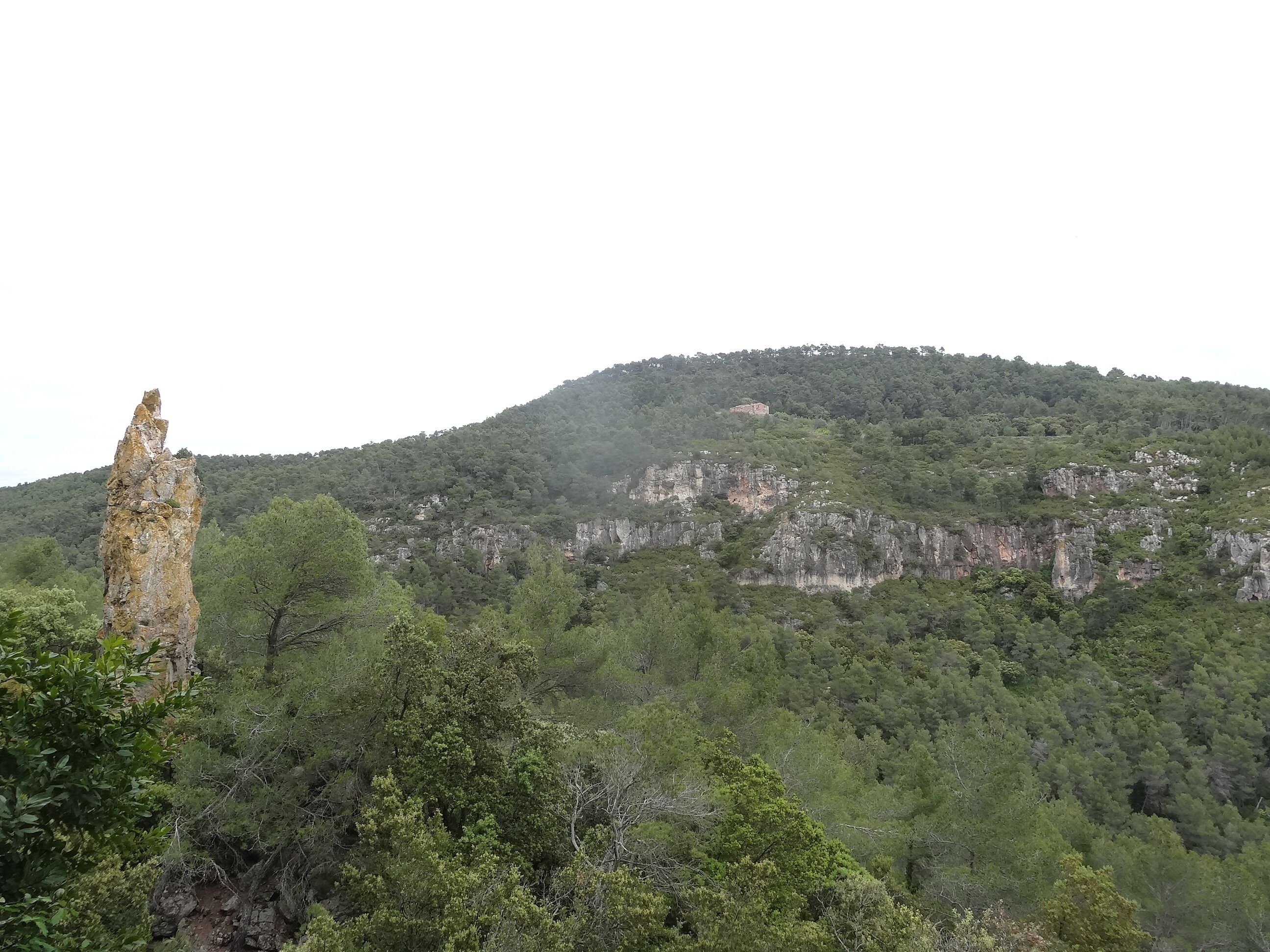 A forested mountain with a prominent rock formation.