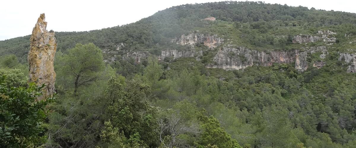 A forested mountain with a prominent rock formation.